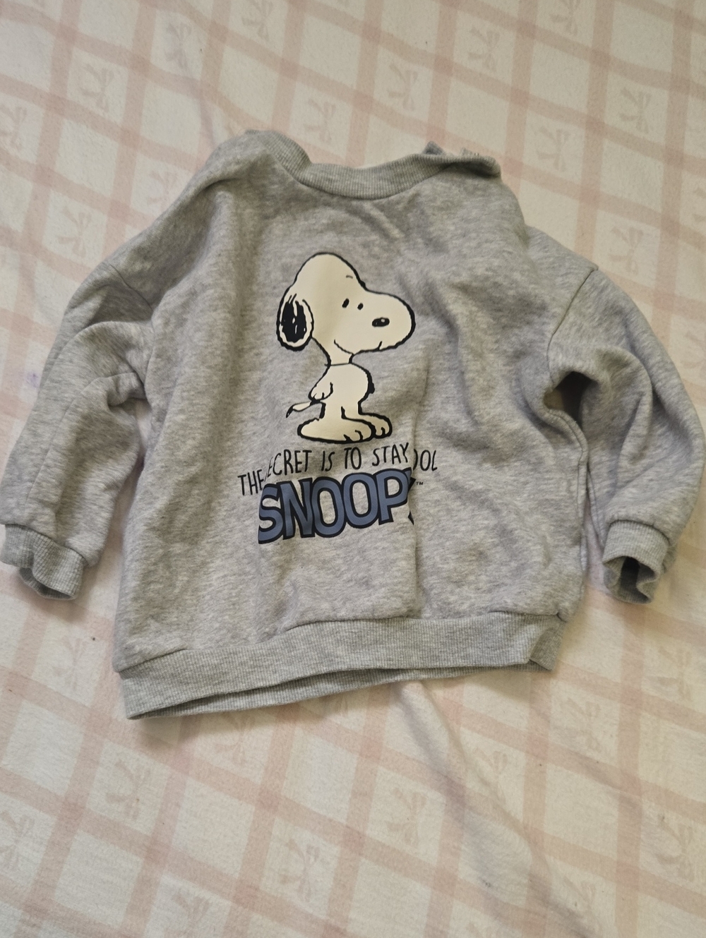 Snoopy Graphic Crewneck Sweatshirt - Kids Grey